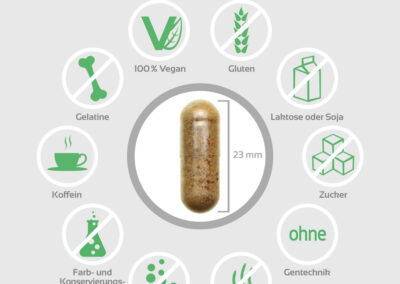 BIOMENTA Kaffee & Grüntee Komplex Inhaltsstoffe