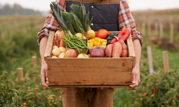 Aktiver Altersruhesitz: Bauernhof-Idylle für Senioren entdecken 