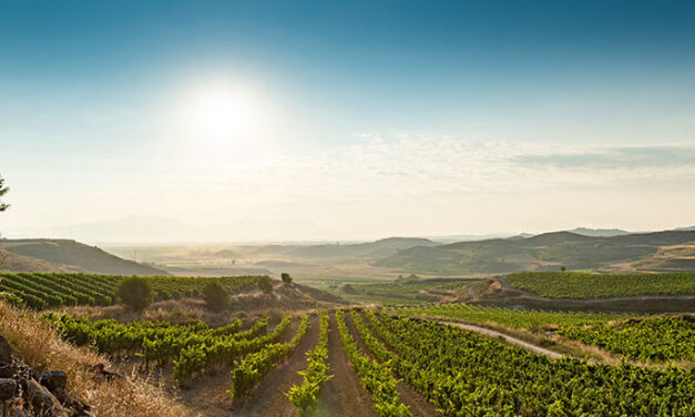 Für Senioren nur das Beste – feine Weine aus Spanien