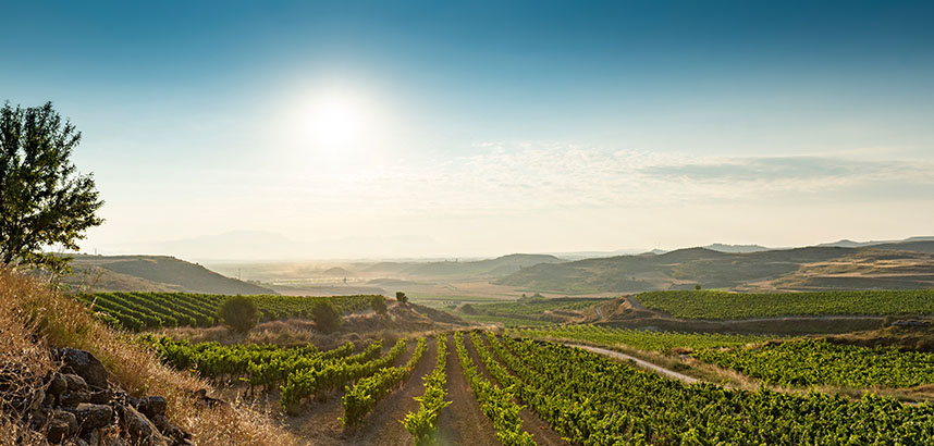 Für Senioren nur das Beste – feine Weine aus Spanien
