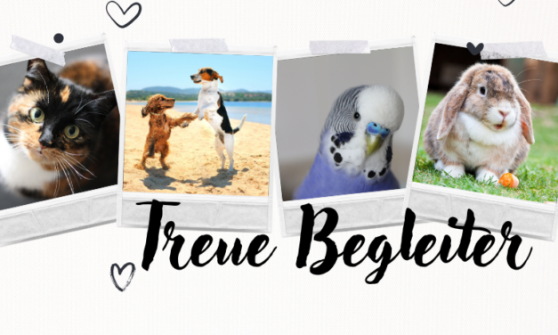 Die vier besten Haustiere für Senioren – treue Begleiter für ein erfülltes Leben 