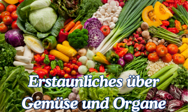 Diese Lebensmittel ähneln deinen Organen – und sind gut für sie! 